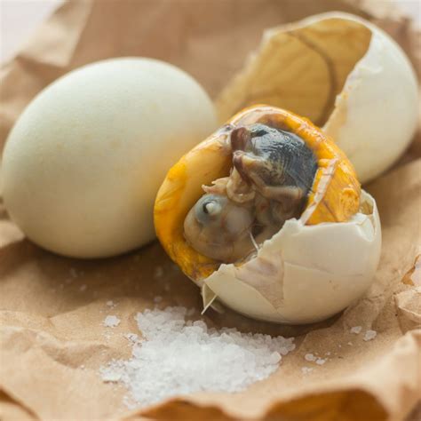 balut egg